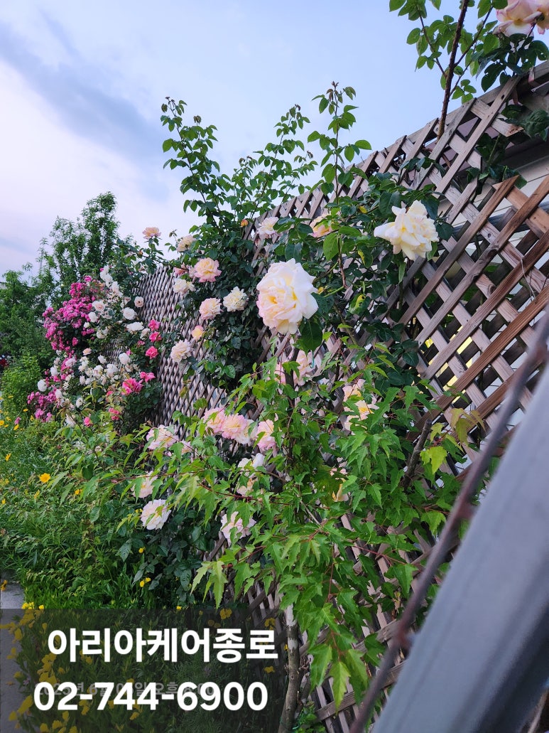 종로요양보호사교육원 이미지