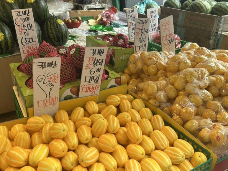 오빠다 야채과일 이미지