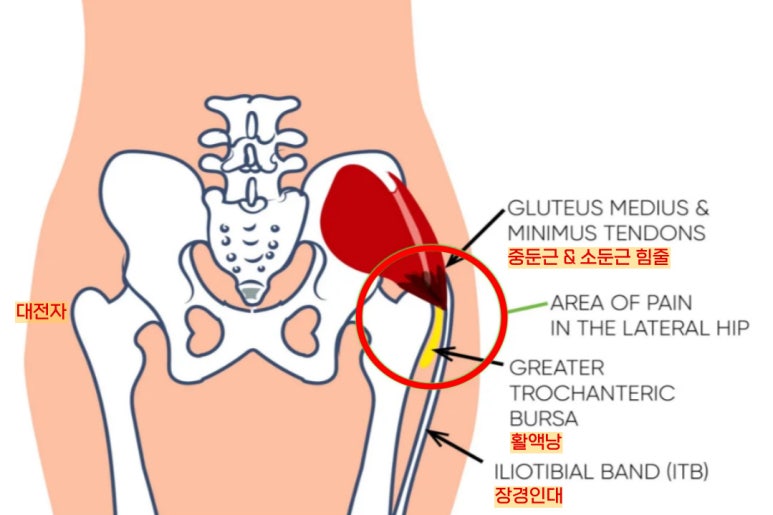 경희푸른숲한의원 이미지
