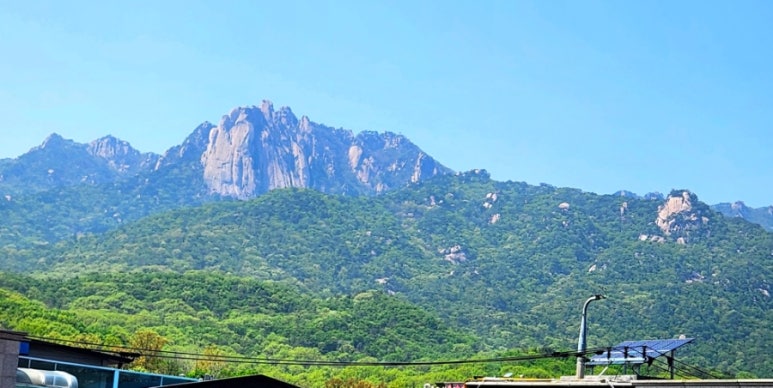 북한산흑염소 이미지
