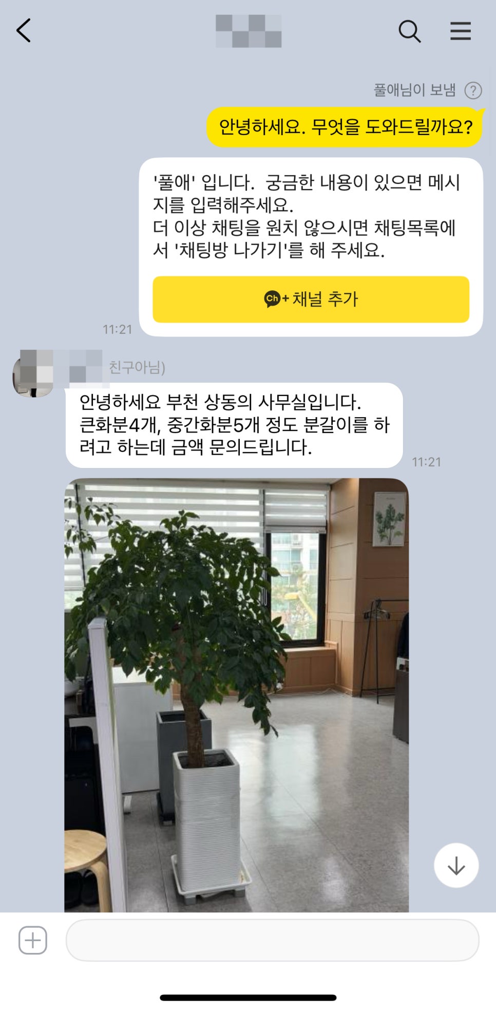 풀애 이미지