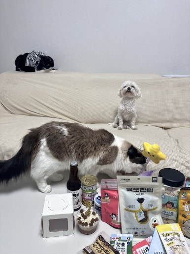 꾸기상점 이미지