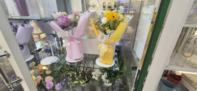 라이티티아플로 이미지