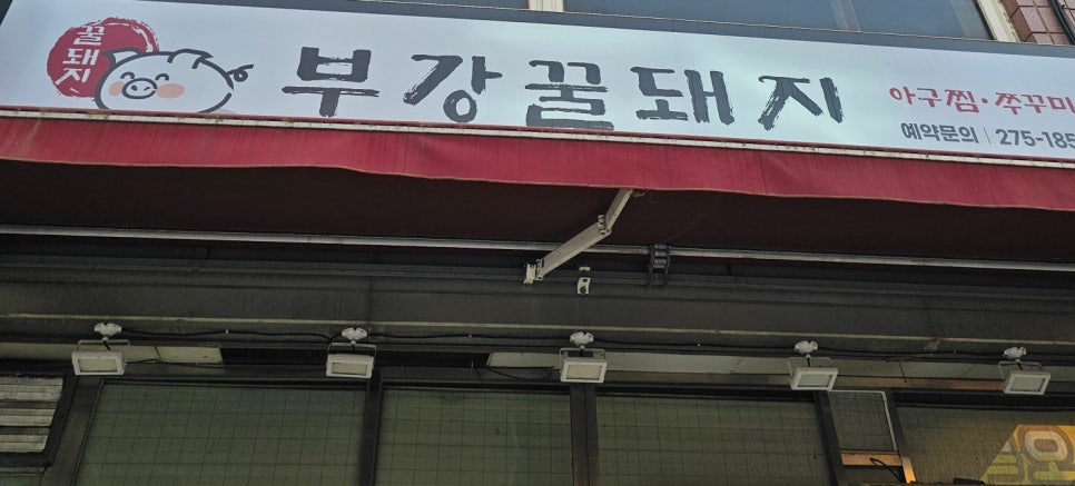 부강 꿀돼지 이미지