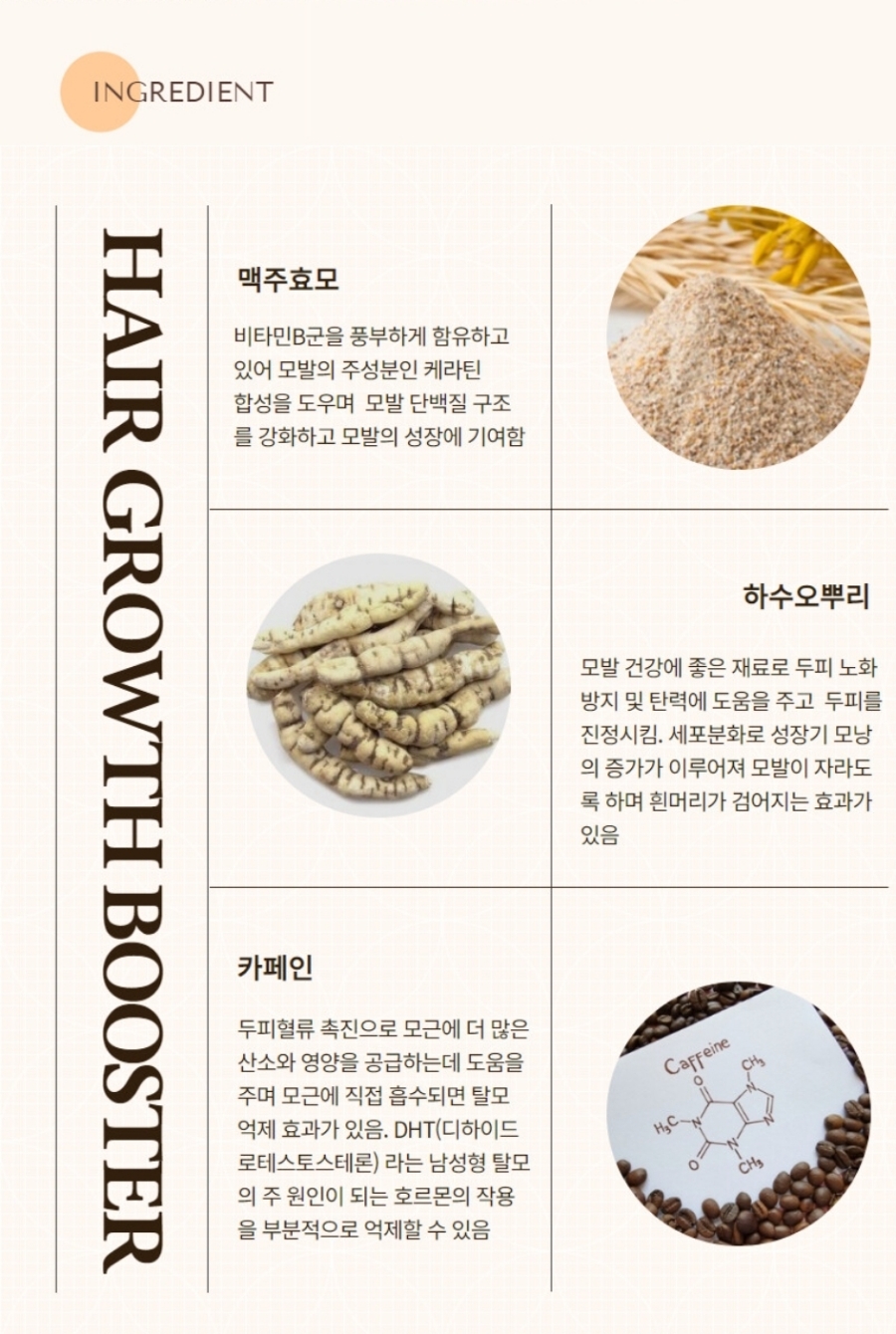 비비비원 이미지