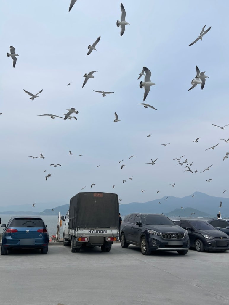 수광호 이미지