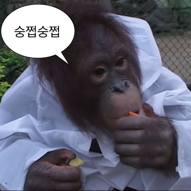수오래 이미지