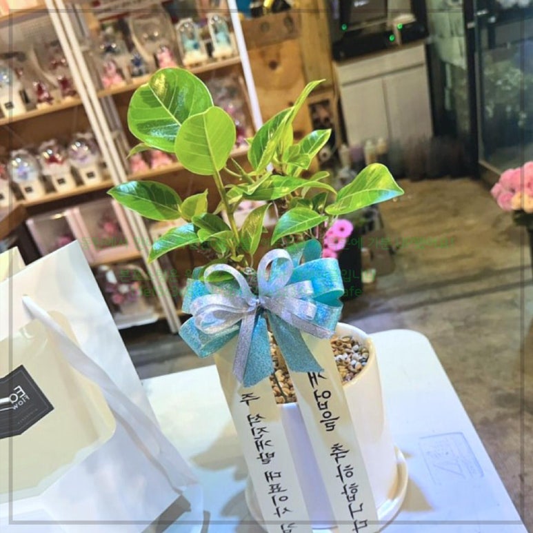 에든플라워 이미지