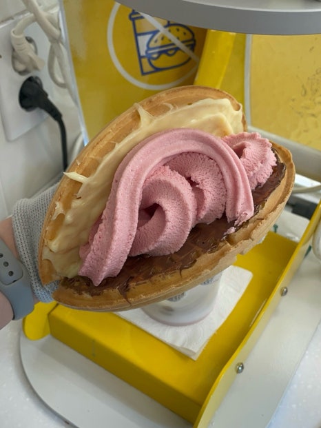 와플대학 충북단양캠퍼스 이미지