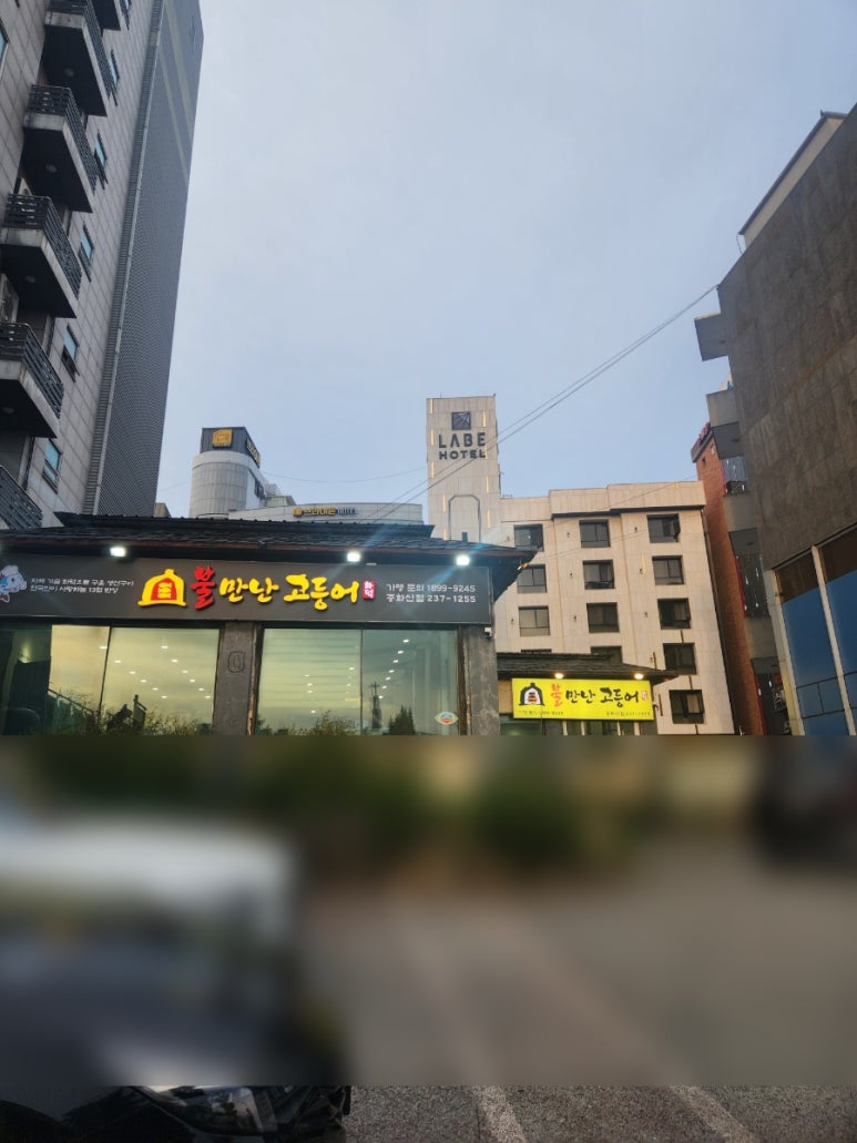 불만난고등어 이미지