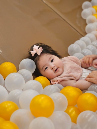 테리플라워 이미지