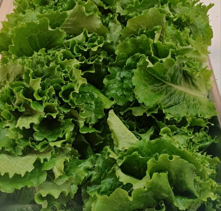 큰집한식뷔페 이미지