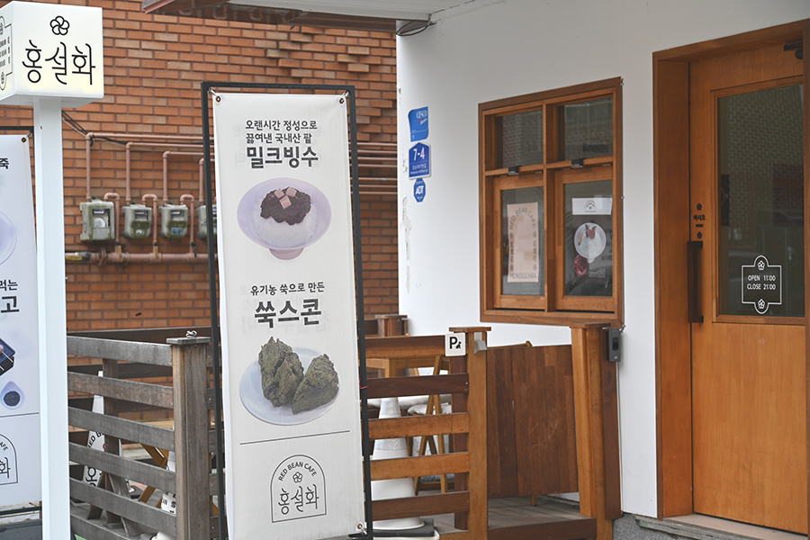홍설화 이미지