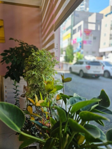 더볼륨피부샵(#) 이미지