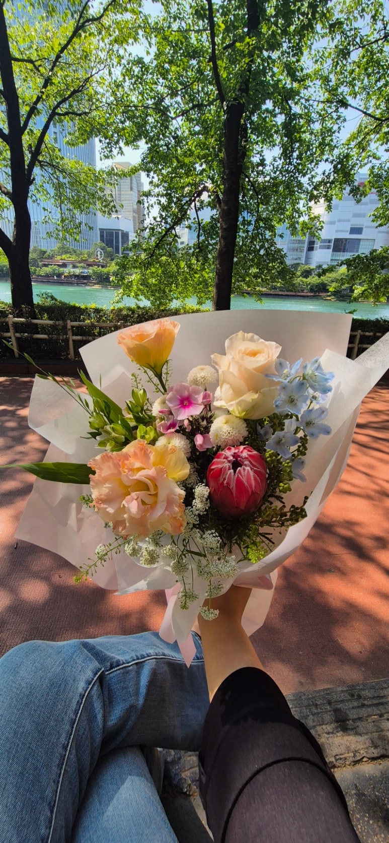라이티티아플로 이미지