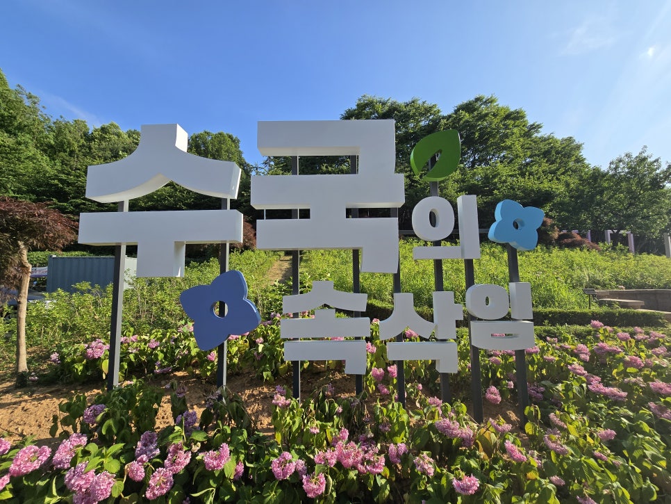 정*원 이미지