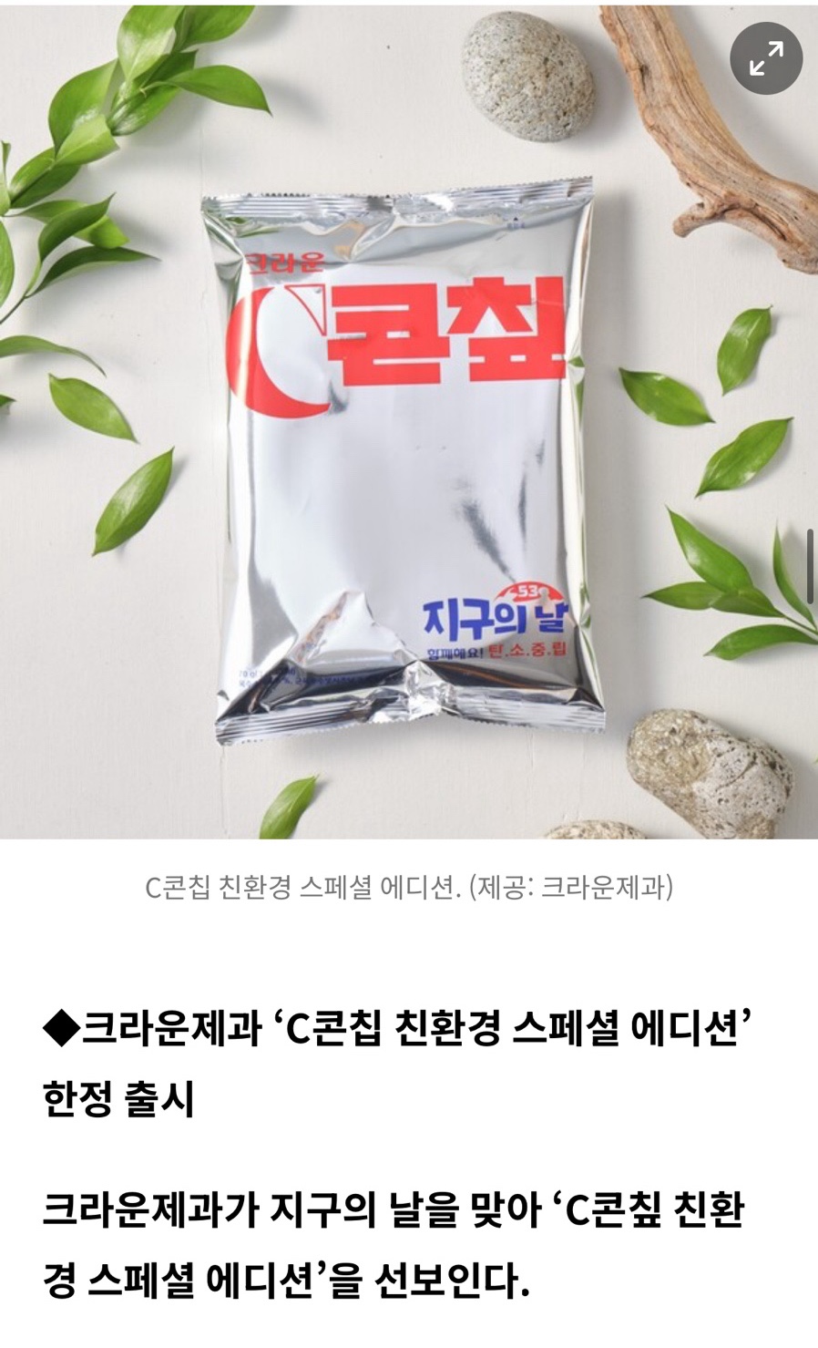 로렌츄컴퍼니 이미지