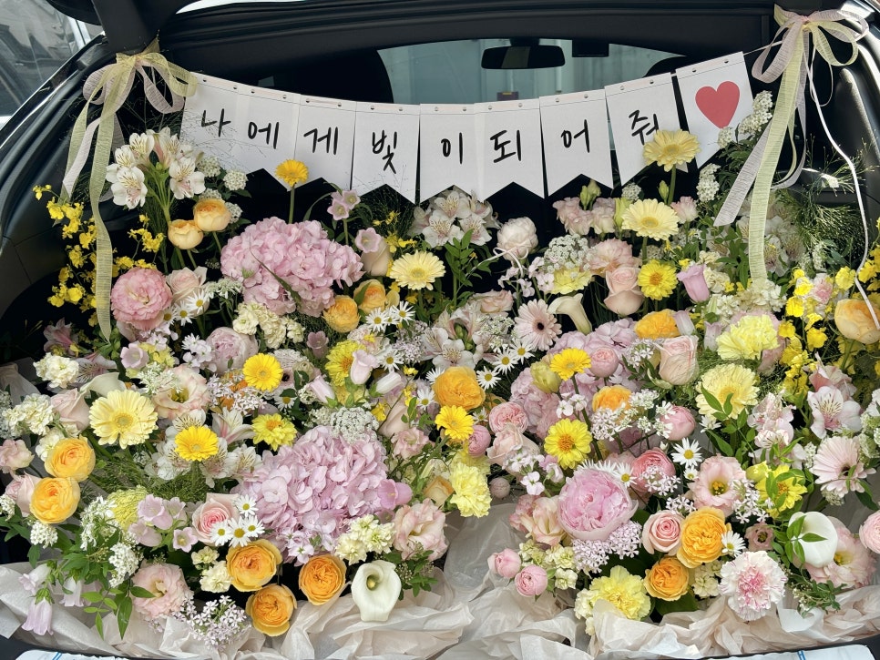 널;조화해 이미지