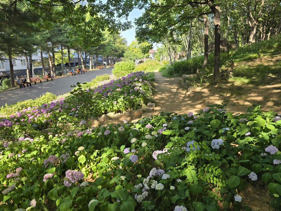 정*원 이미지