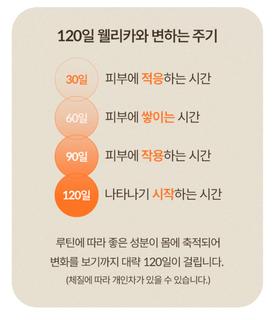 “300달톤 콜라겐? 웰리카 초미세 피쉬콜라겐으로 피부건강을 이미지 10