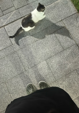 청마루숯불 이미지