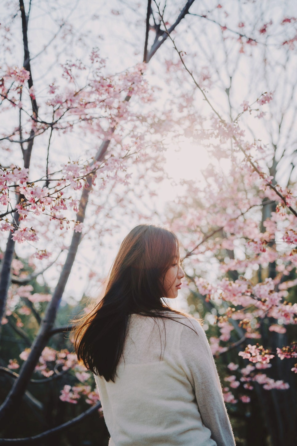 해, 그리고 달 이미지