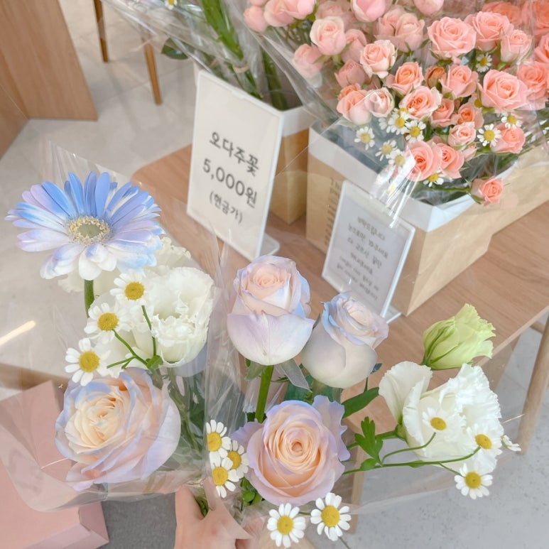 오다주 이미지