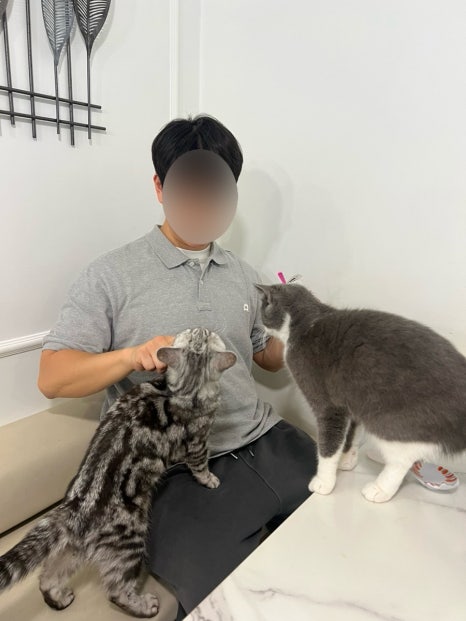 아가마미고양이카페 이미지