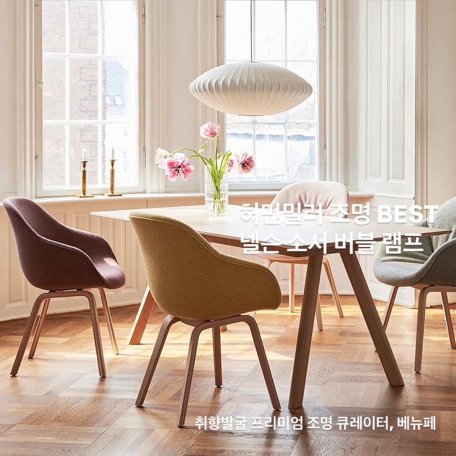 벨홉 이미지