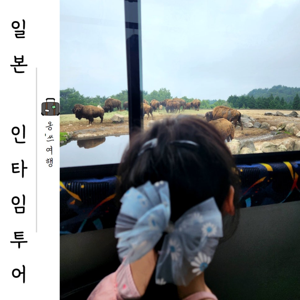인타임투어 이미지