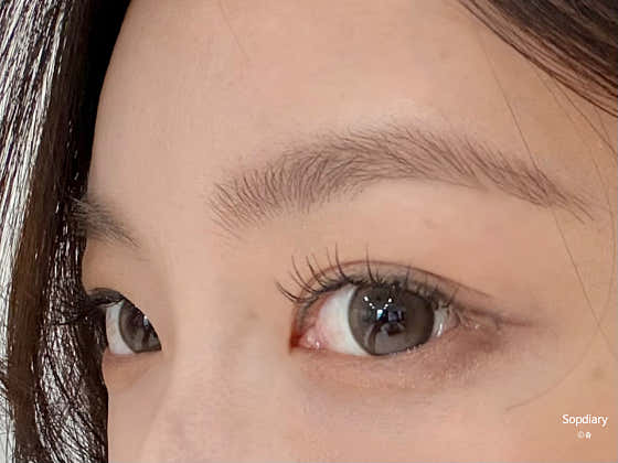 오보테 이미지