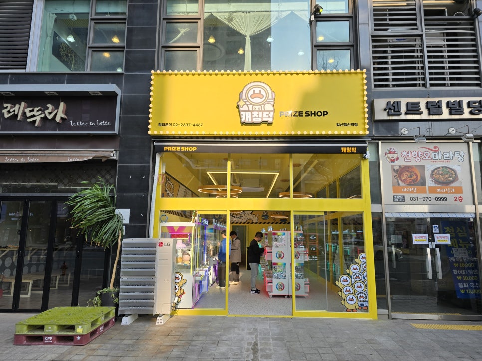 캐칭덕 이미지