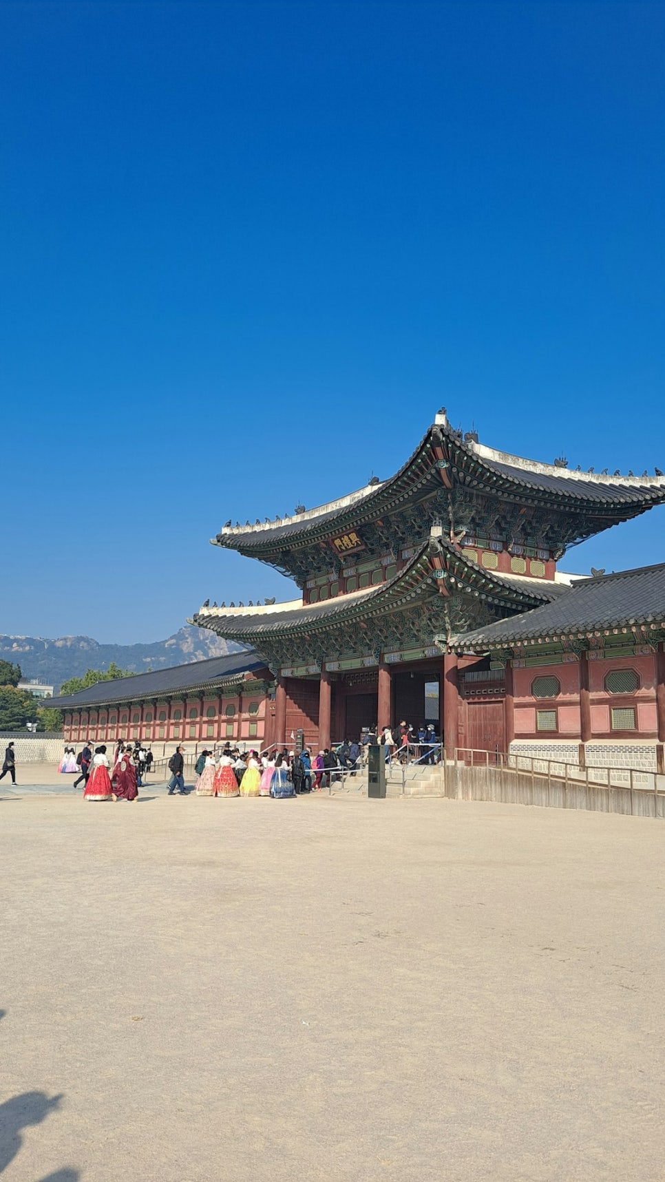 영덕특산물 이미지