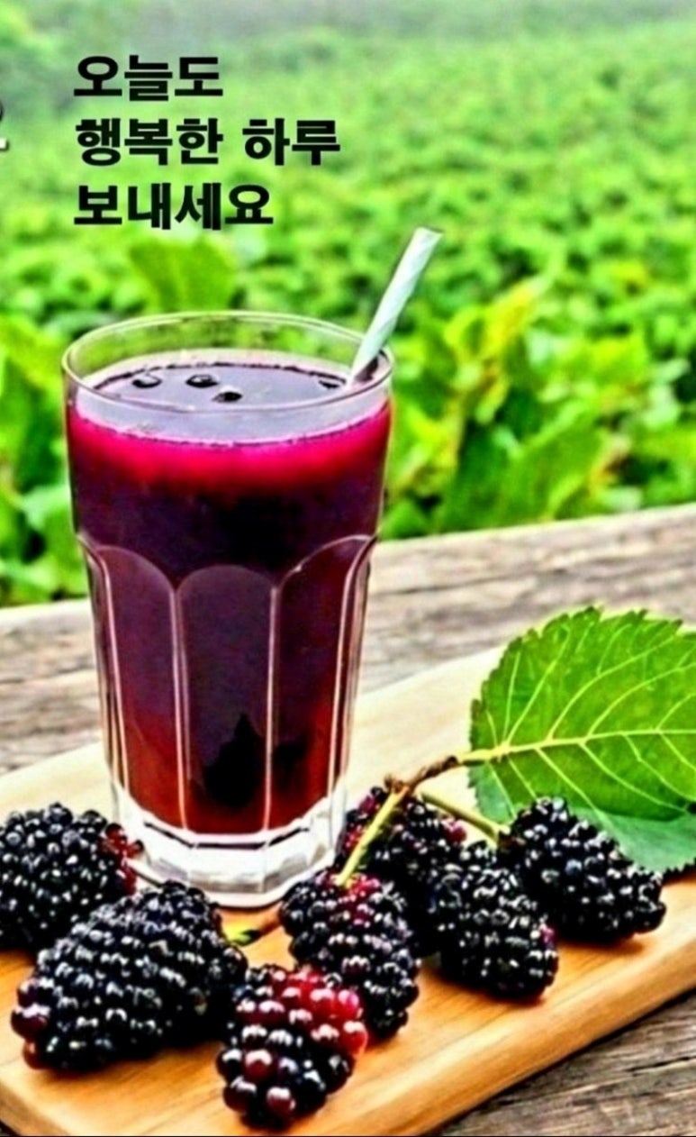 파리의상실 이미지