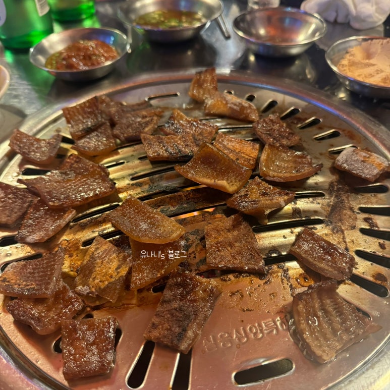 꽃돼지바람났네 이미지