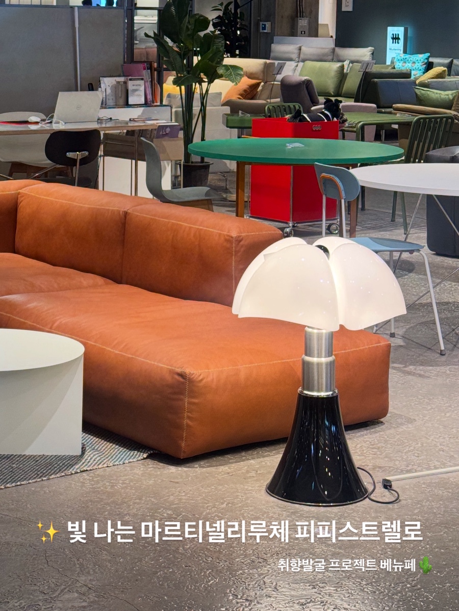 벨홉 이미지