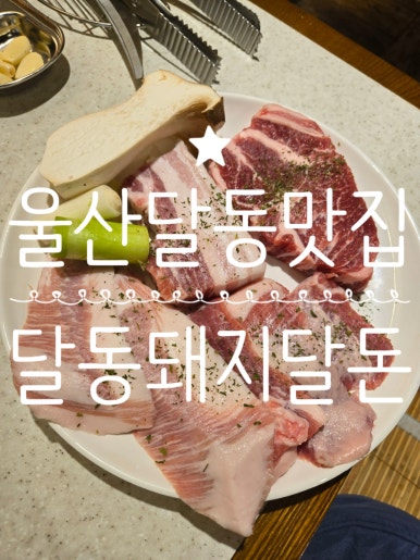 달동돼지달돈 이미지