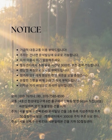 영힐링센타 이미지