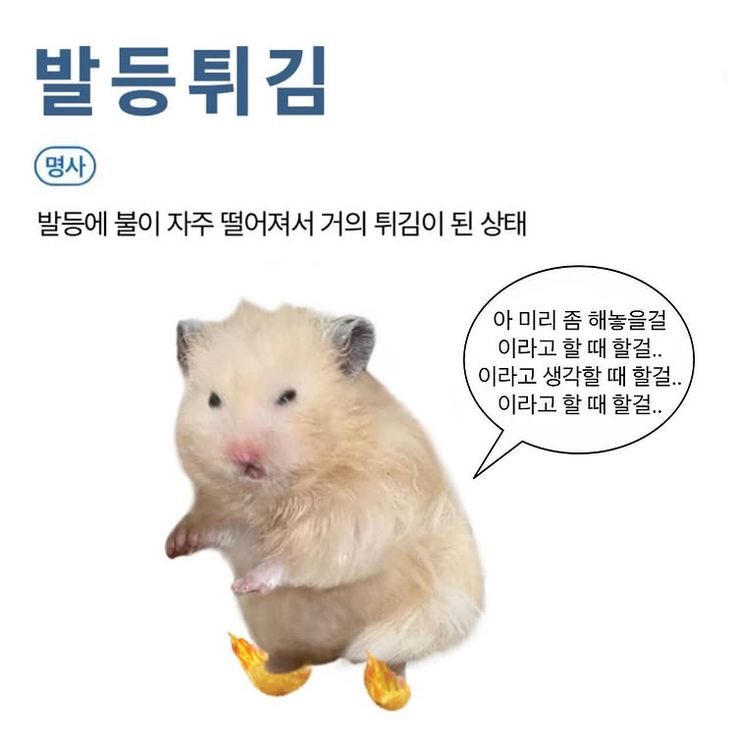 이트헤어 이미지