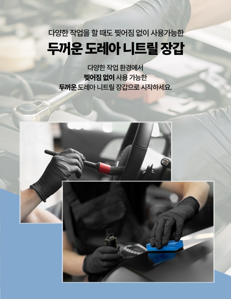 도레아 이미지