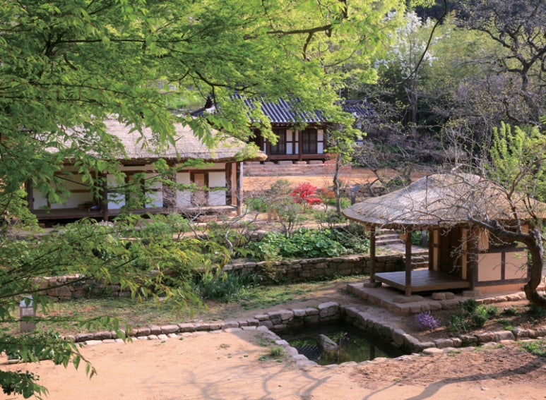 서록다원 이미지