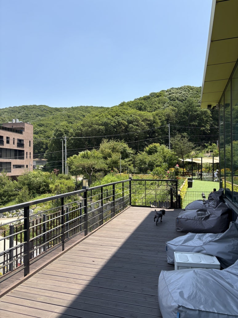 별똥구리 이미지