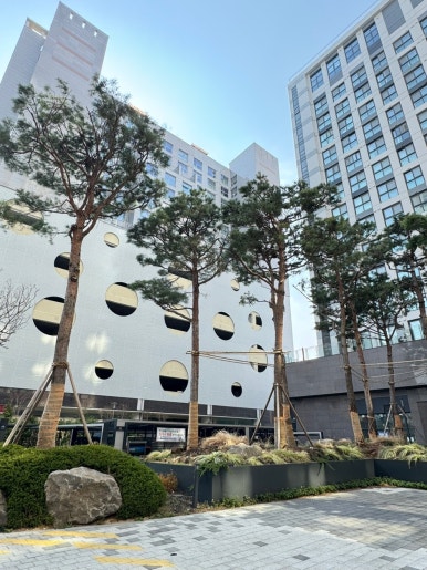 꽃길플랜테리어 이미지