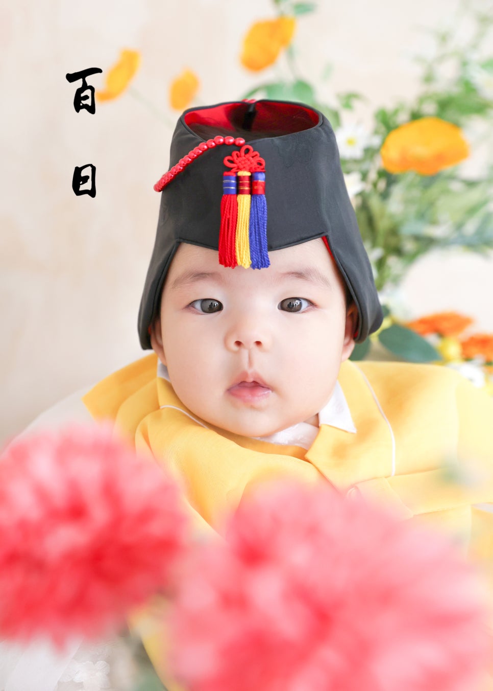 옵튼스튜디오 이미지