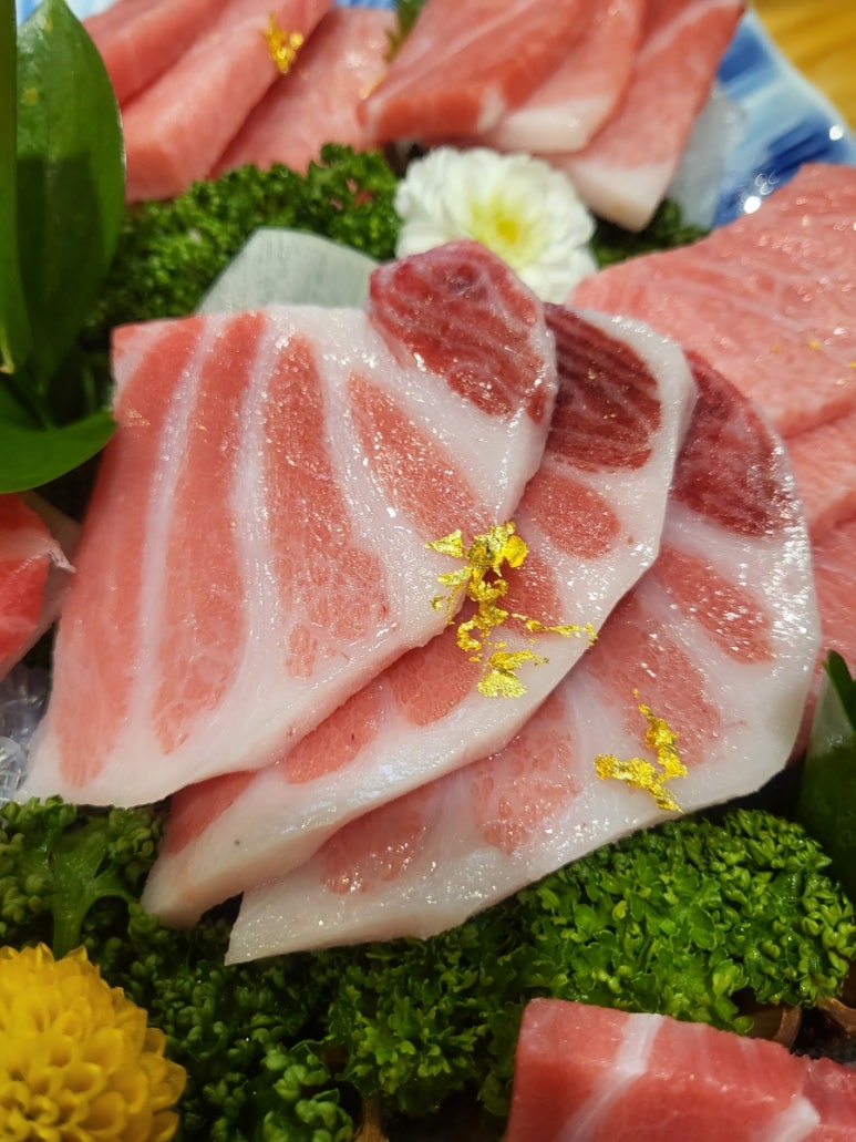 와참치 이미지