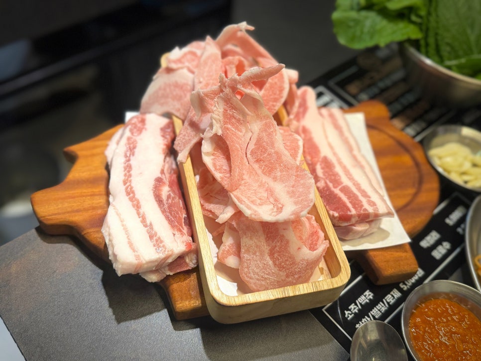 광돈 이미지