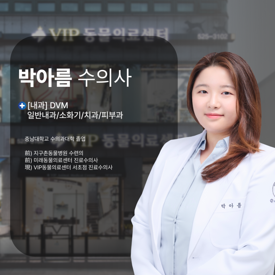 서초 고양이 항문낭 파열, 수술 없이 치료 가능한가요? — 사진 7