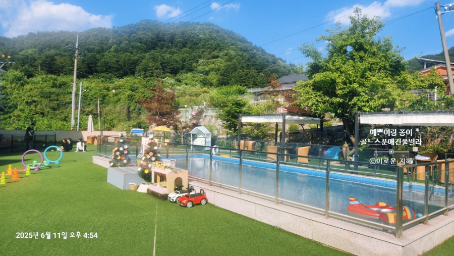 골드스푼애견풀빌라 이미지