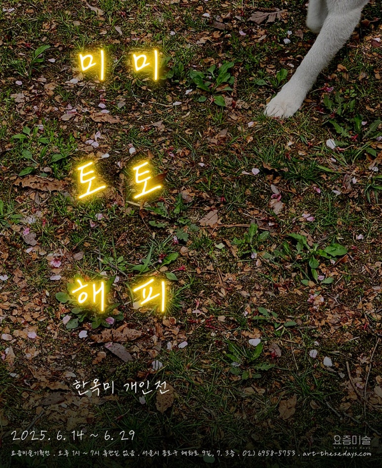 미미토토 이미지