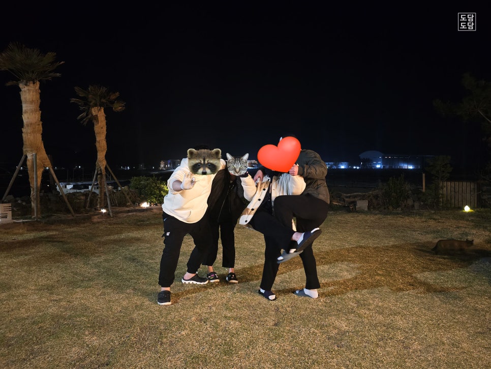 삼대한채 이미지